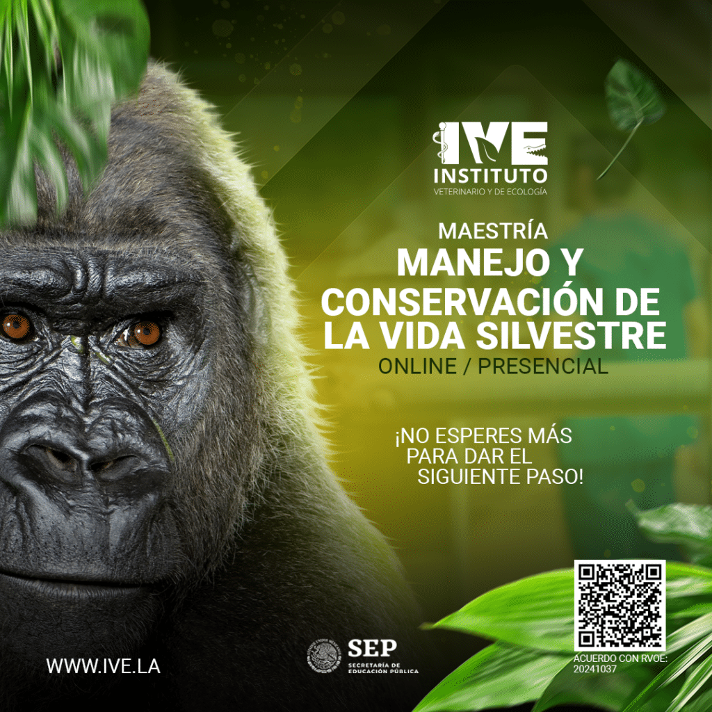 CUADRADO VIDA SILVESTRE